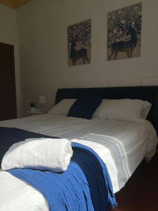 Appartamento Cavalieri Modena Esterno foto